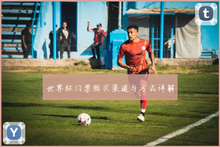 世界杯门票购买渠道与方式详解