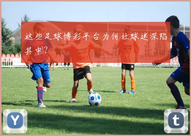 这些足球博彩平台为何让球迷深陷其中?