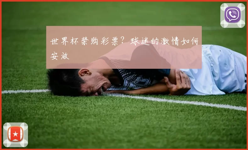 世界杯禁购彩票？球迷的激情如何安放