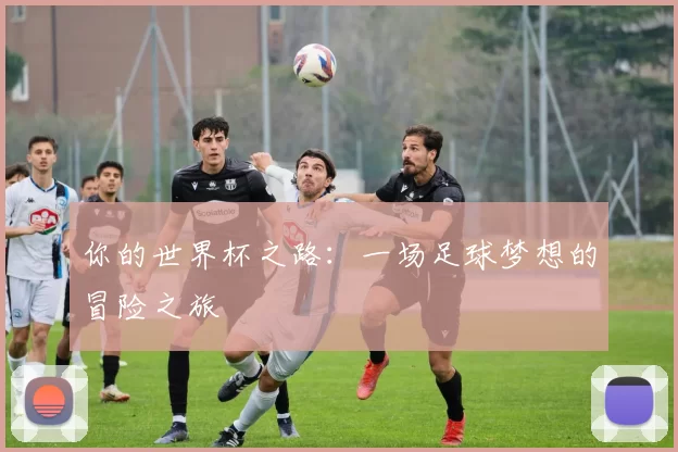 你的世界杯之路:一场足球梦想的冒险之旅