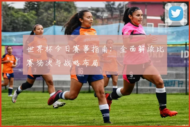 世界杯今日赛事指南:全面解读比赛场次与战略布局