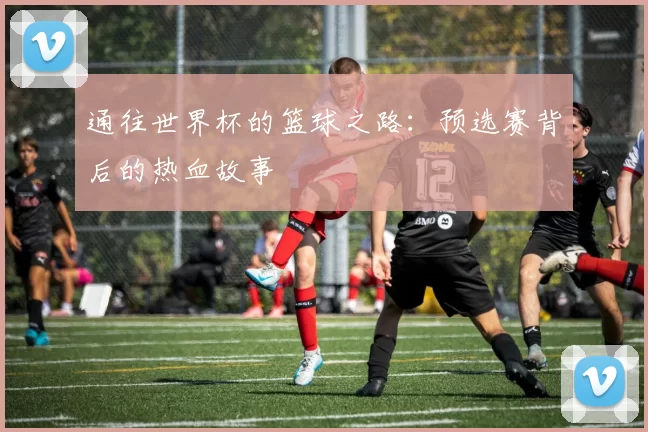 通往世界杯的篮球之路:预选赛背后的热血故事