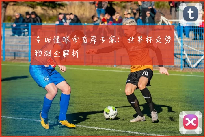专访懂球帝首席专家：世界杯走势预测全解析