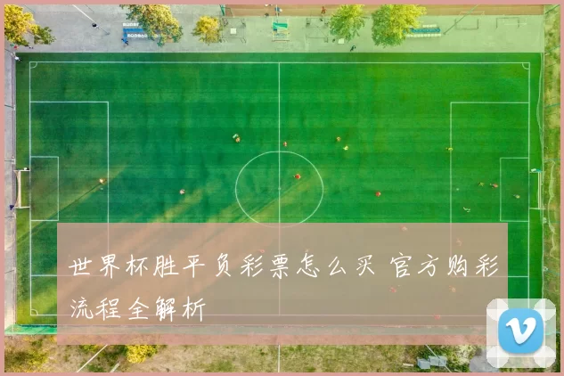 世界杯胜平负彩票怎么买 官方购彩流程全解析