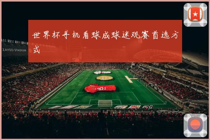 世界杯手机看球成球迷观赛首选方式